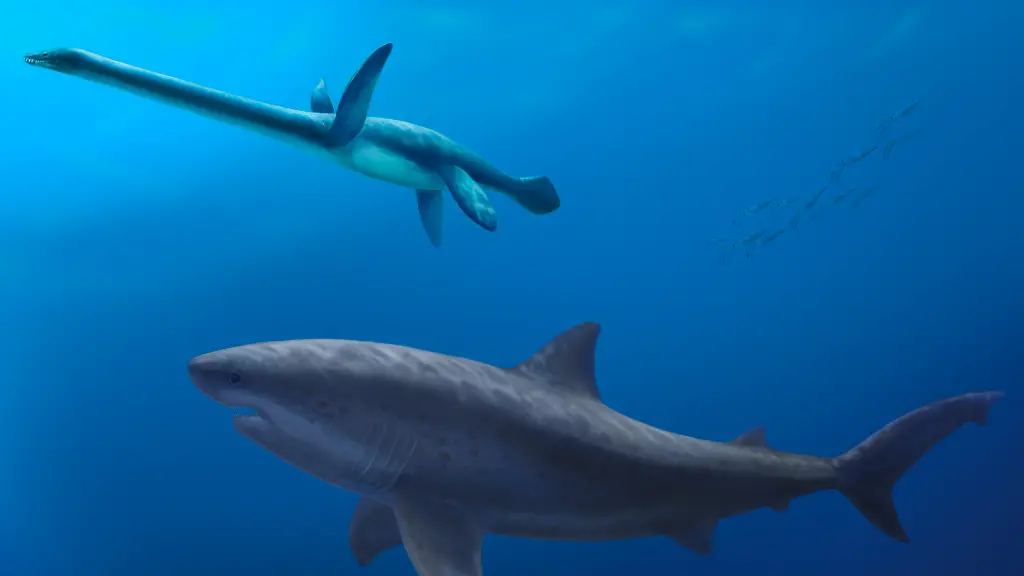 Darwin Formation giant shark_Pollyanna von Knorring